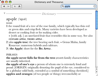Dictionary and Thesaurusウィンドウのスクリーンショット