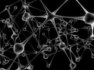 Network neurons